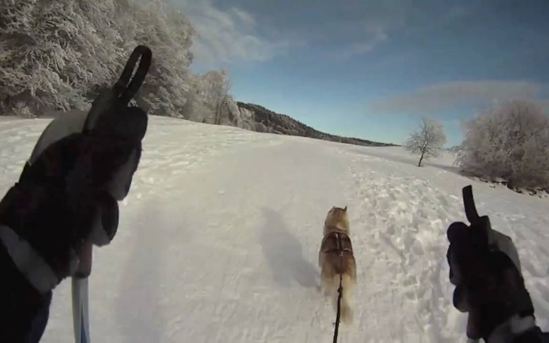 excursions en montagne au revard: une aventure inoubliable