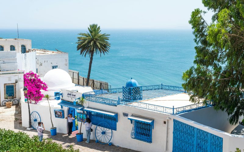 pexels mahmoud yahyaoui 27599623