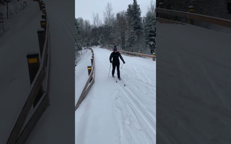 revard en savoie : conditions idéales pour le ski de fond à la féclaz