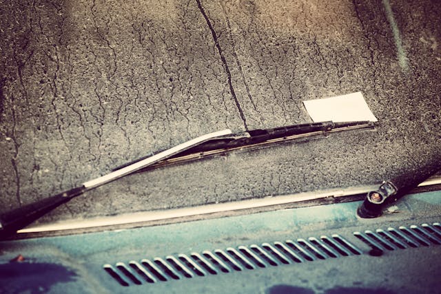 pexels neosiam 576332